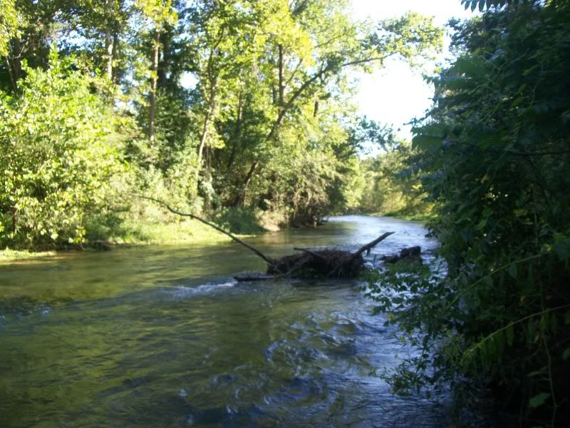 Picture042.jpg