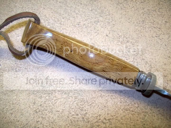 curlywhiteoak3.jpg