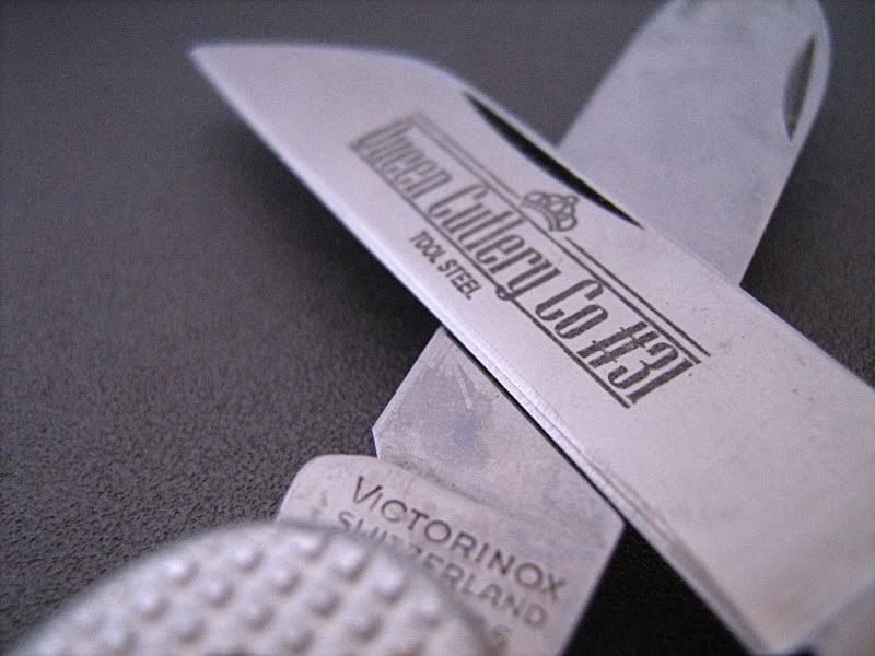EDC030210.jpg