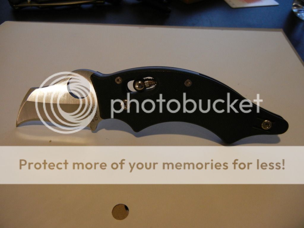 DSCN07661.jpg