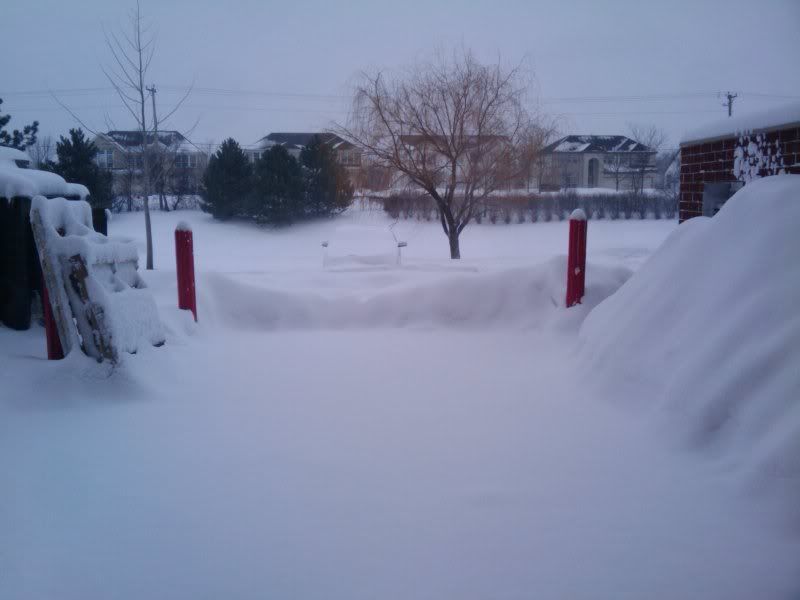 2011-02-02090931.jpg