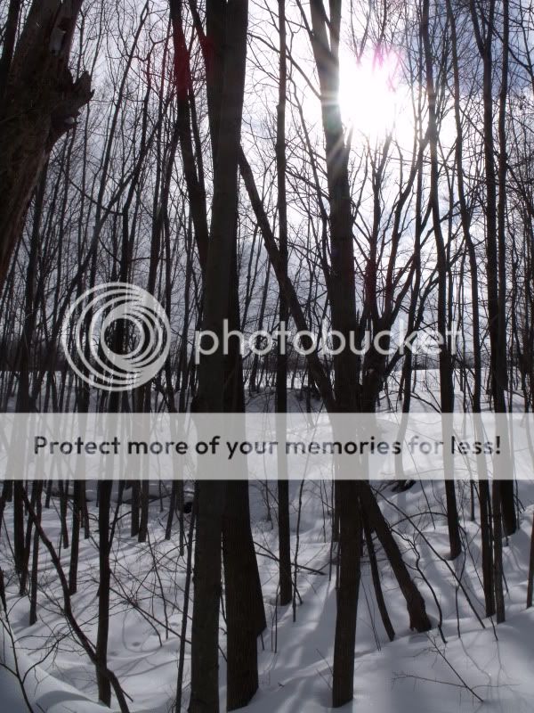 Febweekendsnowshoeing007.jpg