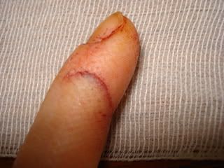 20090102_59-1.jpg