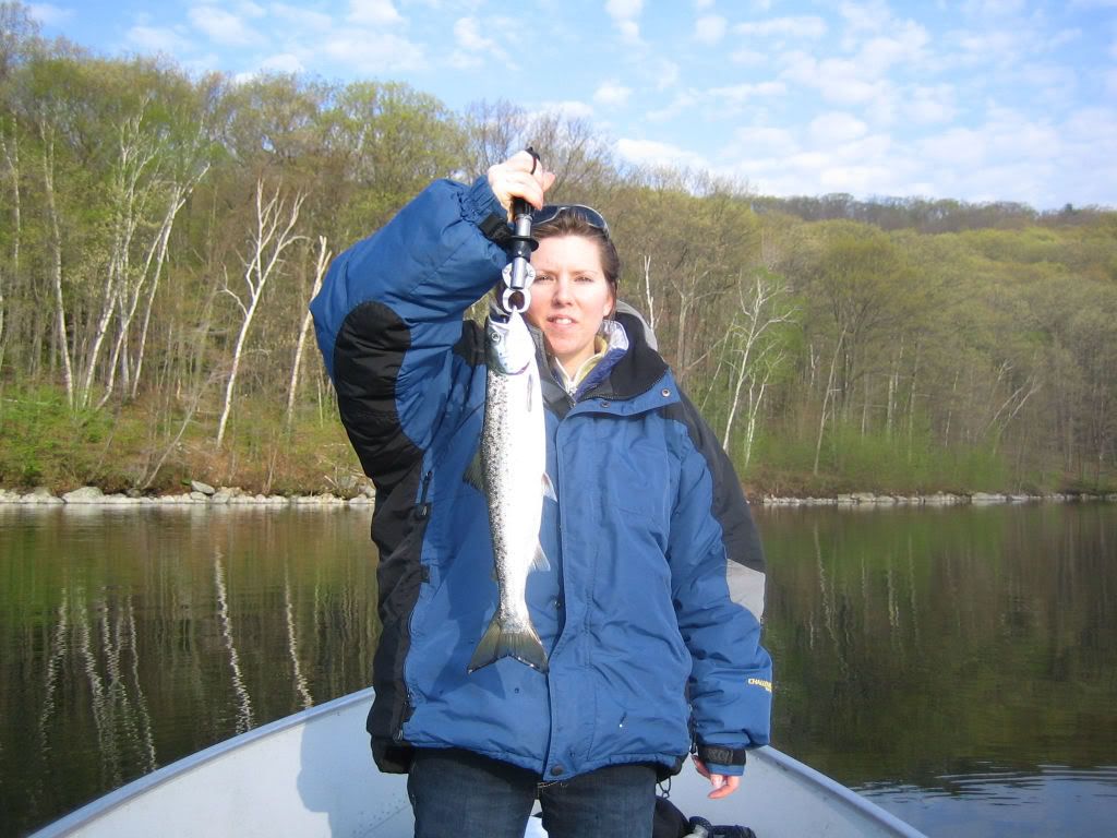IMG_03261.jpg