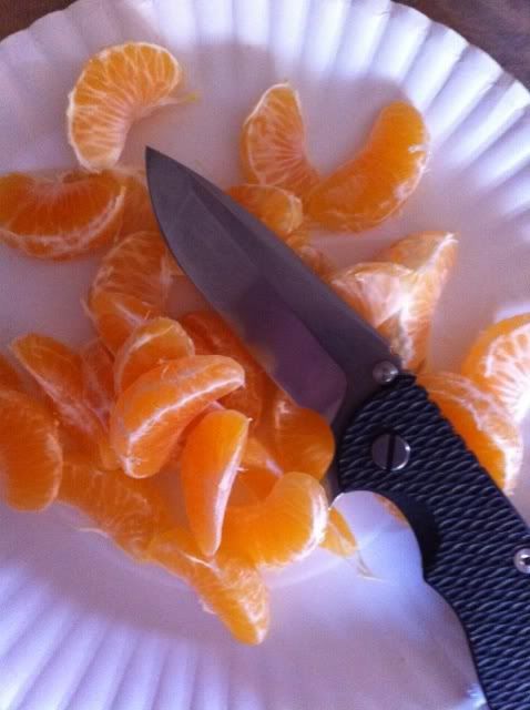 image-58.jpg