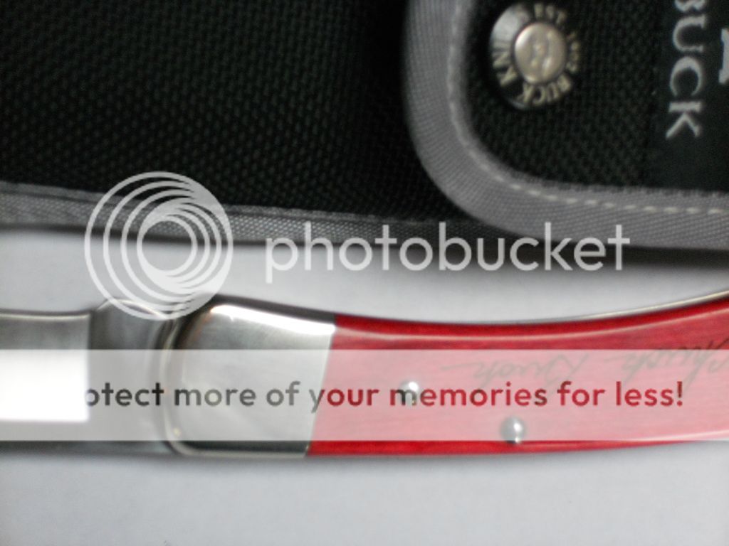 DSCN1238.jpg