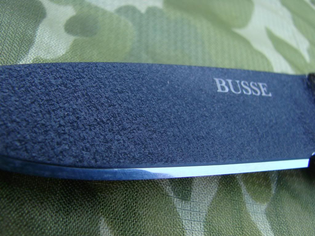 SomemoreBusses018.jpg