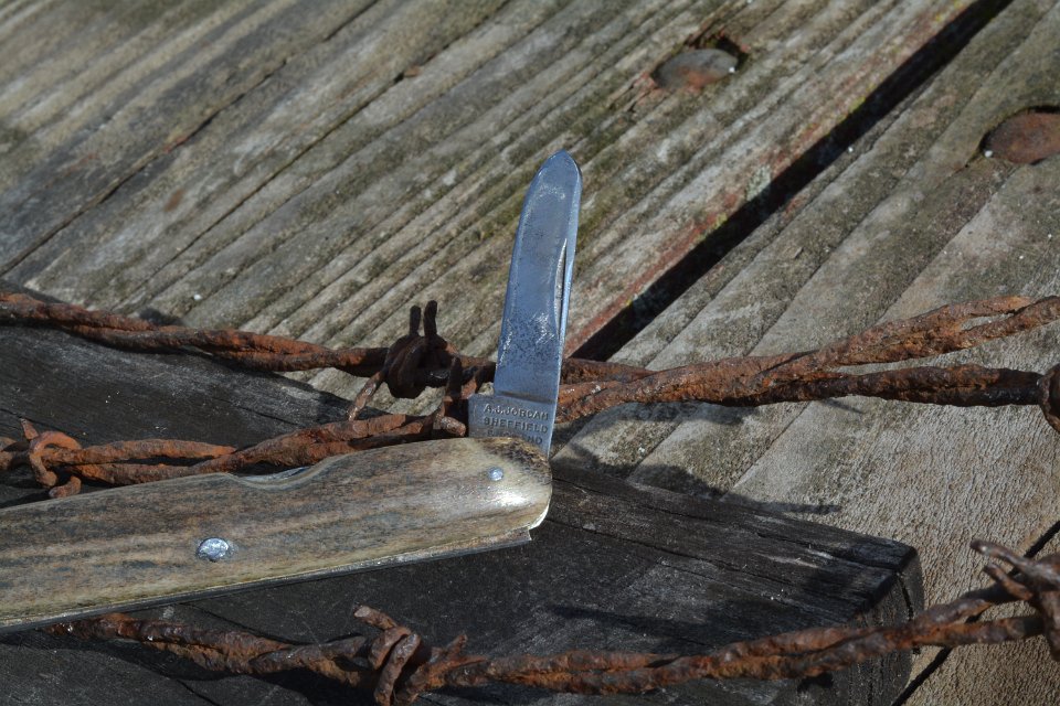DSC_5382.JPG
