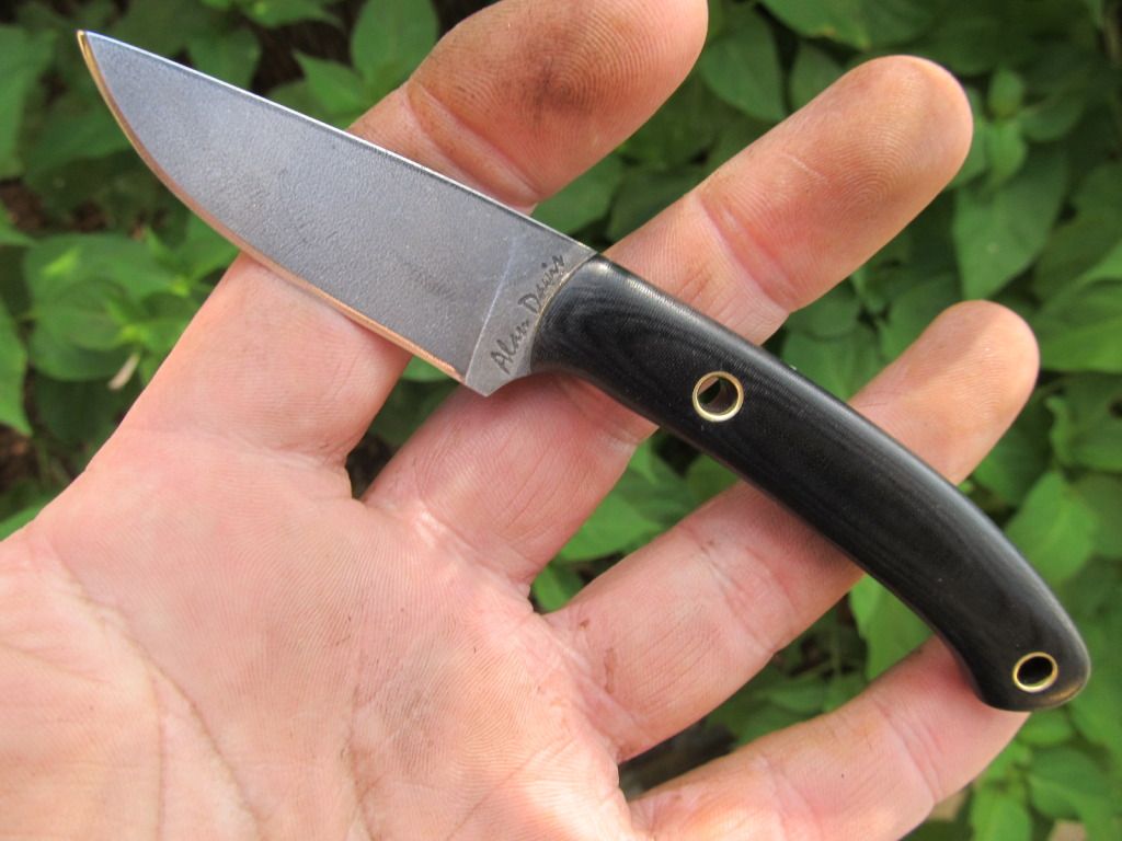 micartaminiedc011.jpg