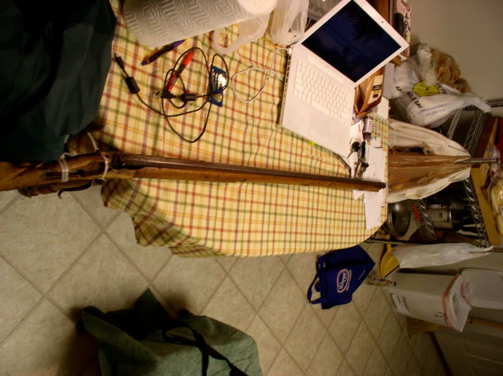 P1010007.jpg