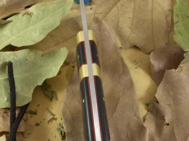 HPIM4857.jpg