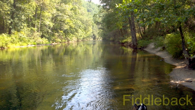 2011090120110824_154723_458-vi.jpg