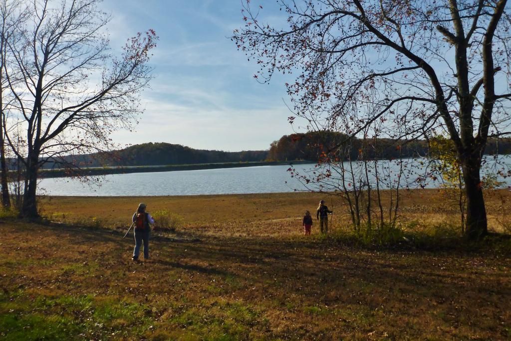 P1020391.jpg