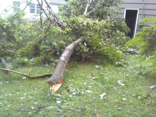 Limb_Down_zps8a480f05.jpg