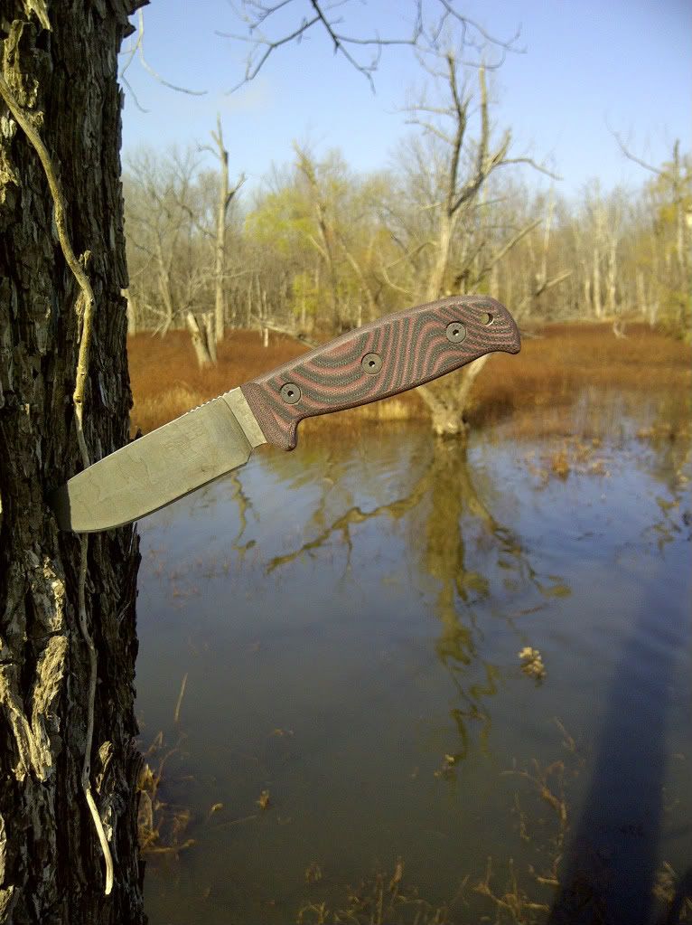 Wagoner-20111123-00396-Copy-1.jpg
