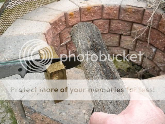DSCN0460.jpg