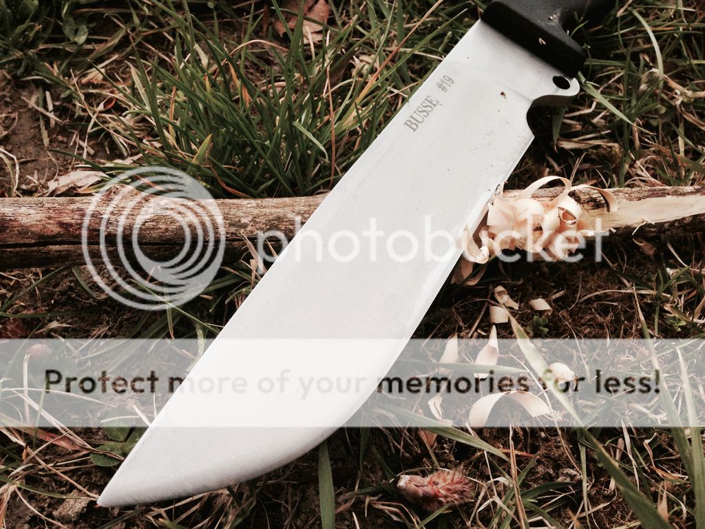 A9331E36-60DA-4D41-8445-C0EC56D95F47_zpsvayreqxz.jpg
