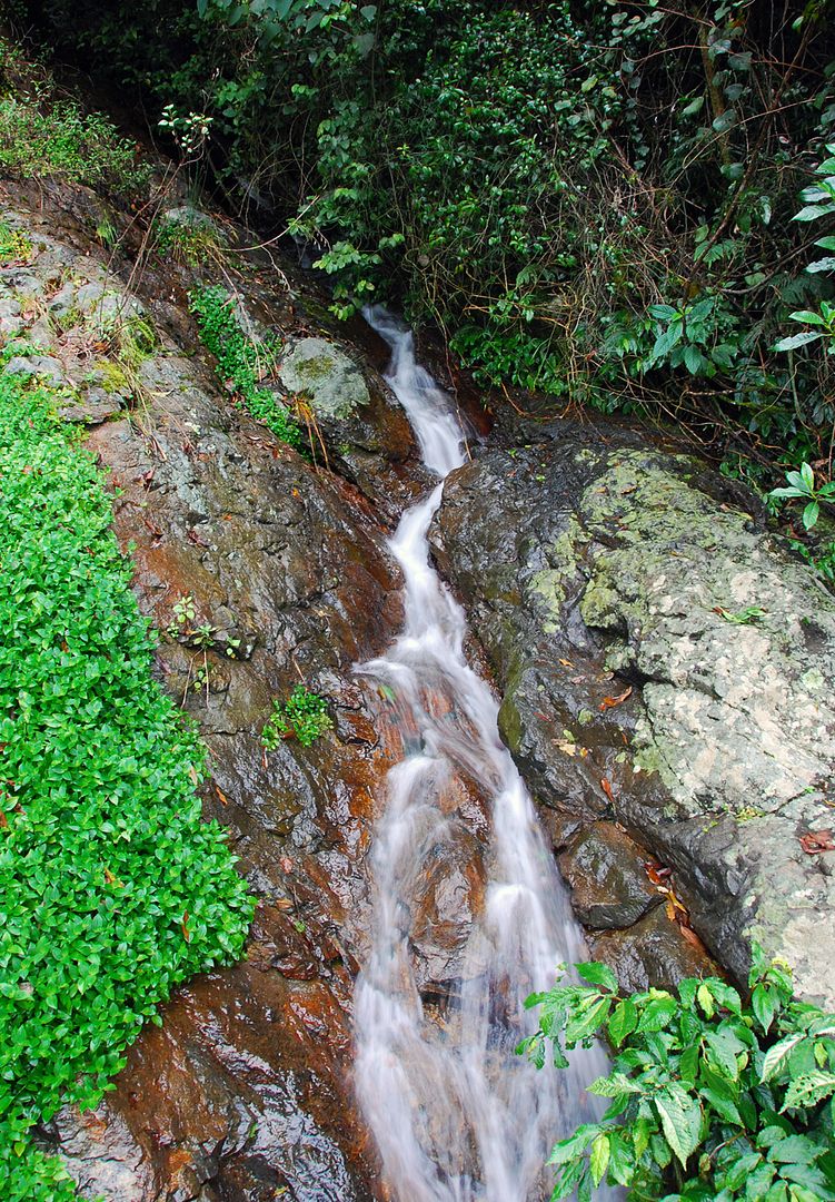 Waterfall5.jpg