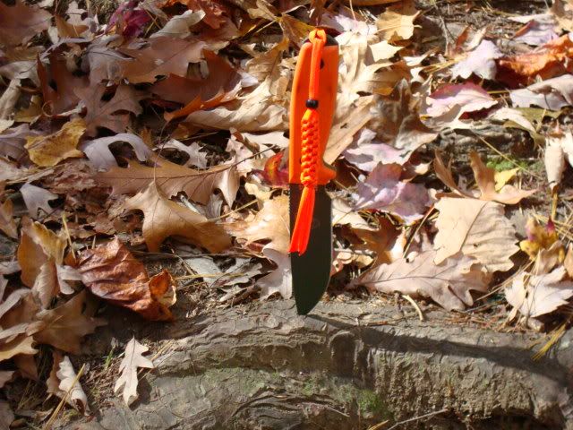 DSC00953.jpg