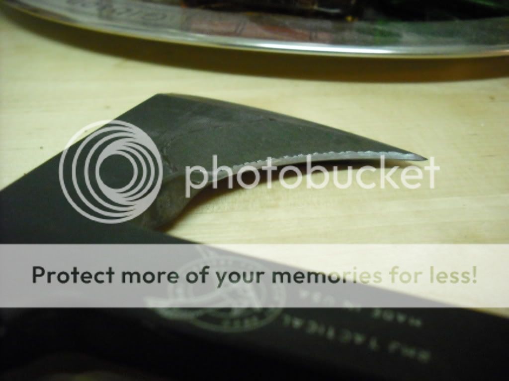 DSCF0001.jpg