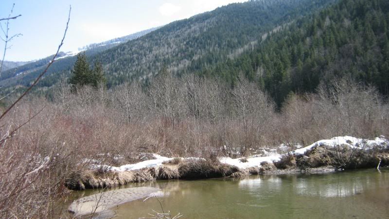 beaver2011005.jpg