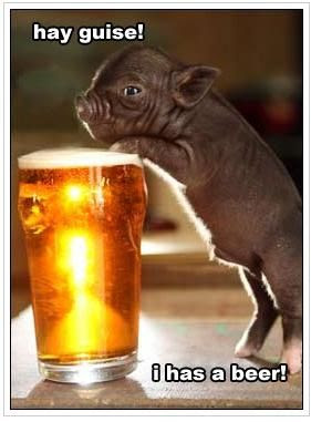 Hog%20Beer.jpg