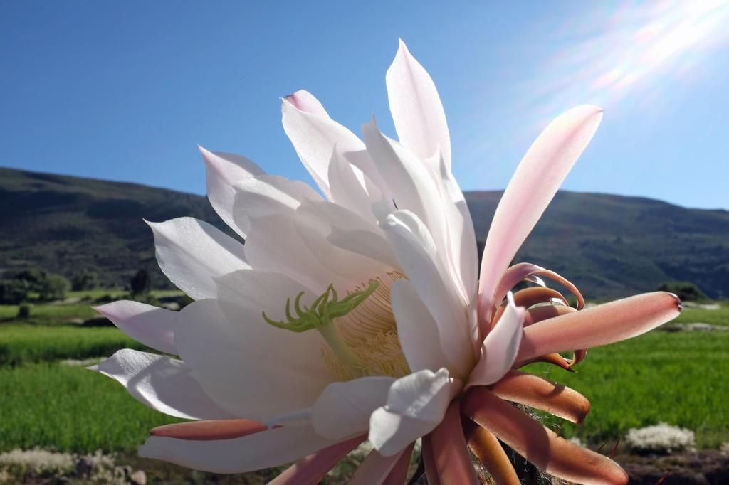 DSCF0024%201_zpsbyhu2hdf.jpg