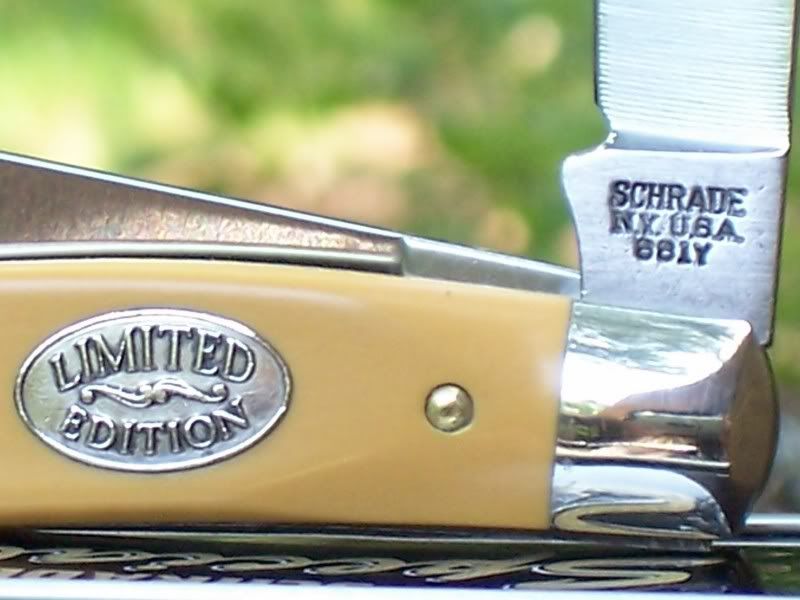 ShldTang881Y.jpg