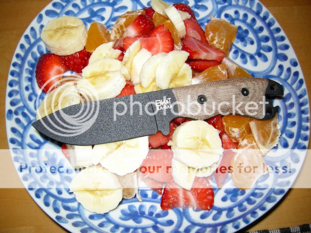 DSCN2586.jpg