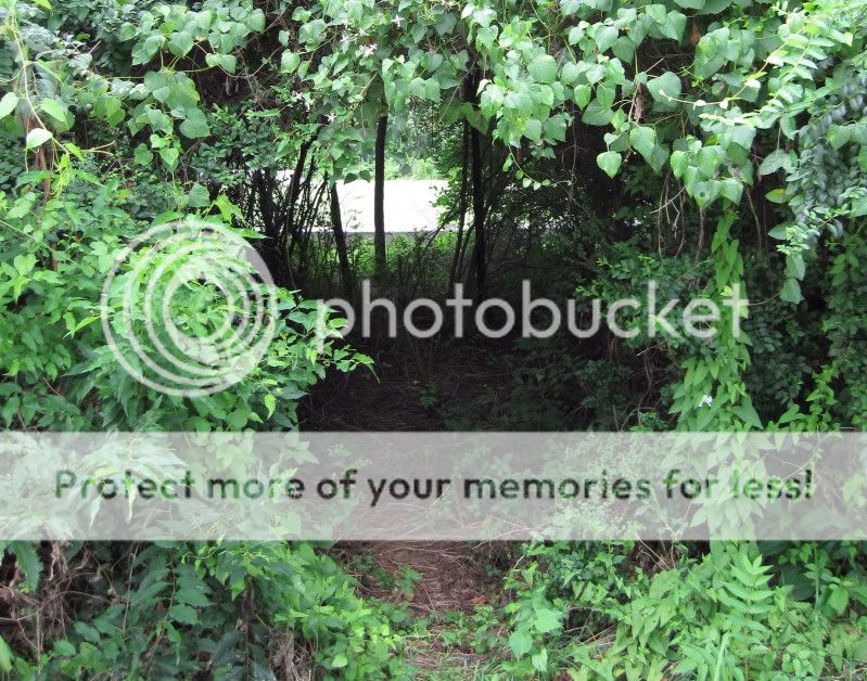 IMG_5599.jpg