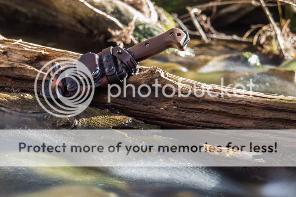 IMG_0371_zps6d6fa3de.jpg~original