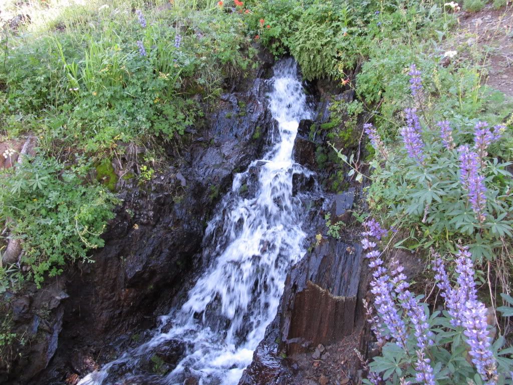 IMG_0499.jpg