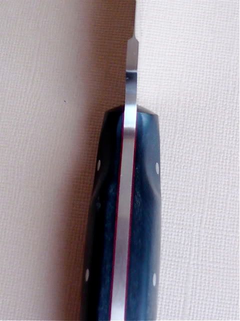 P1000707.jpg
