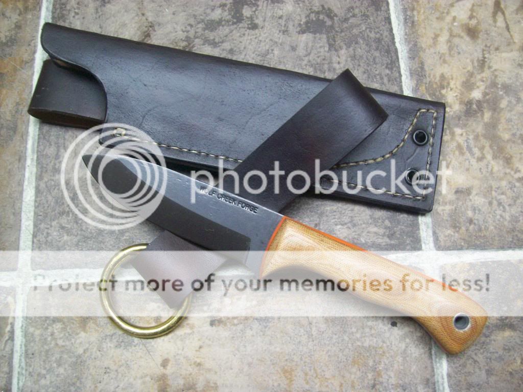 100_8763_zpsb330ad4b.jpg