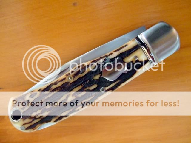 DSCF2204.jpg