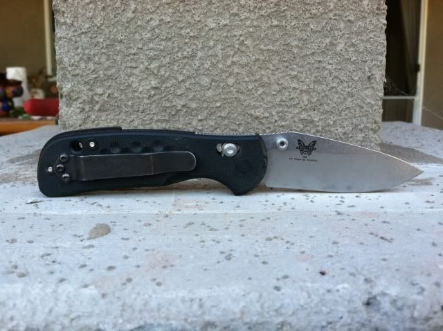 wilkins2.jpg