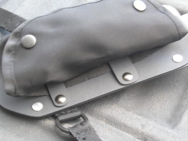 Picture008.jpg