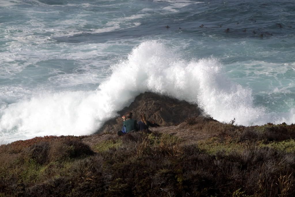 MFBigSur008.jpg