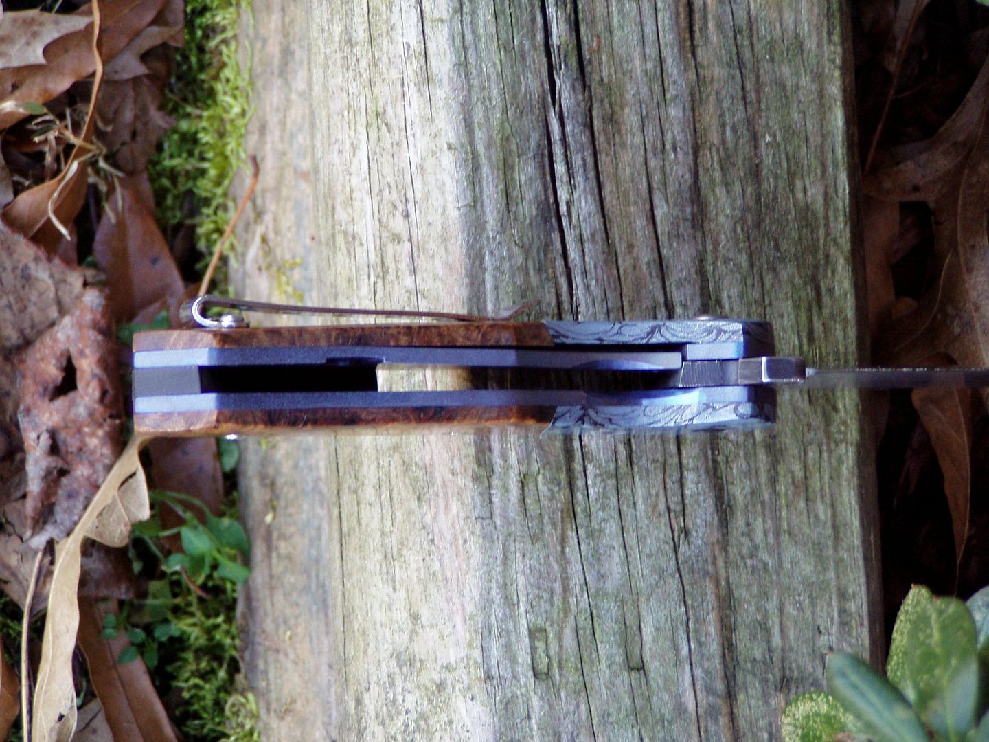 017_zps60bcbad4.jpg