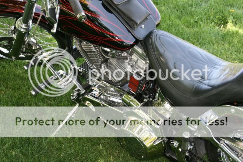 84Softail042.jpg