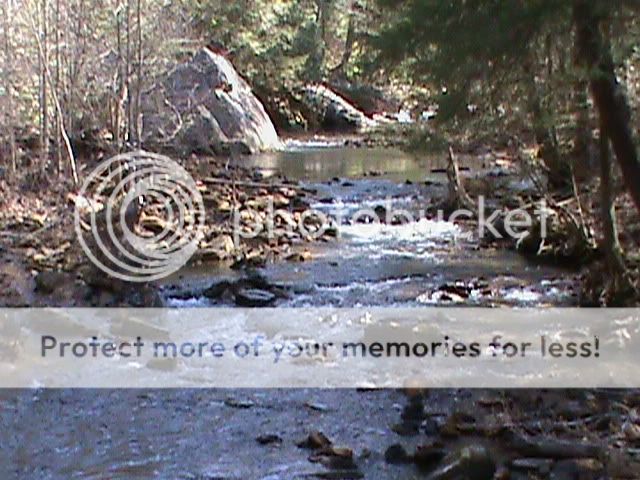 DSC00231.jpg