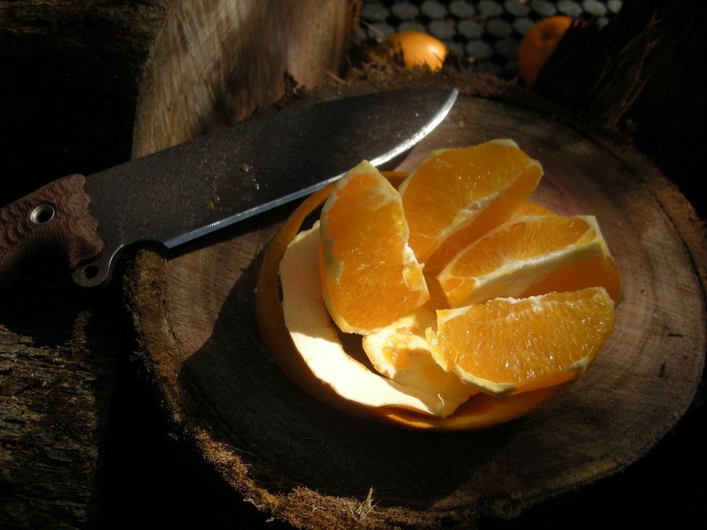 DSCN1003.jpg