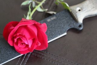 IMG_1281-1.jpg