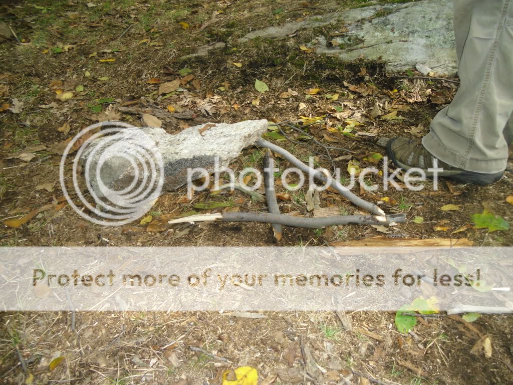PICT0016-27.jpg