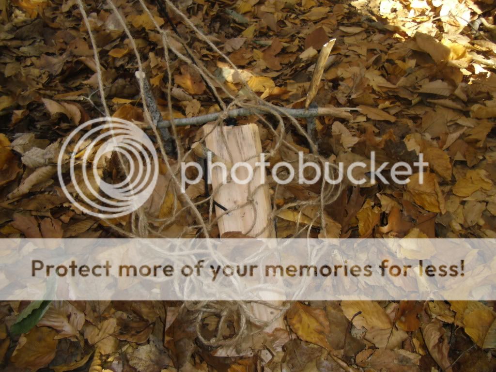 PICT0009-48.jpg