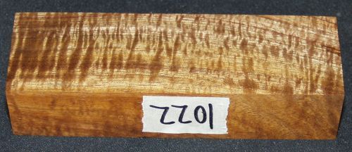 1022a.jpg
