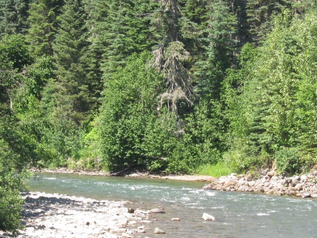 07-08-2010076.jpg