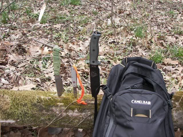100_4770.jpg