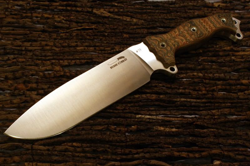 FSHLE191151.jpg