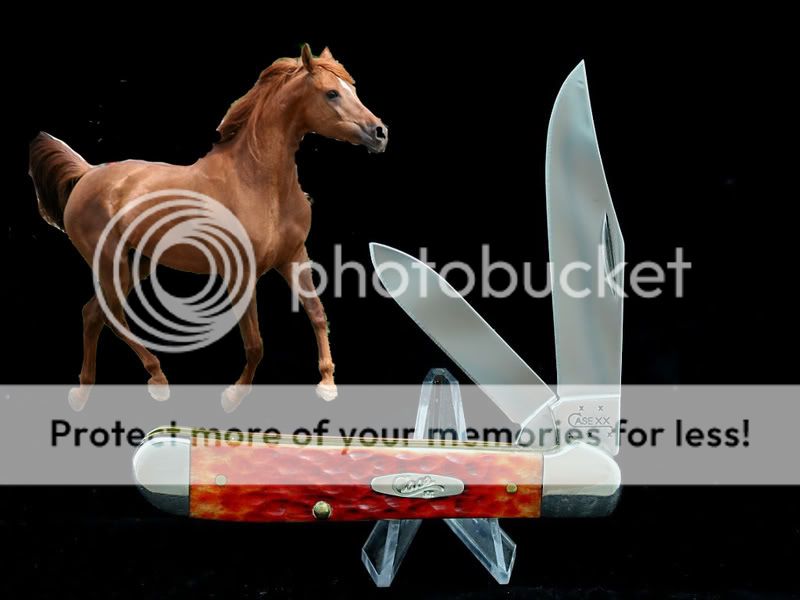 ChestnutMare2.jpg